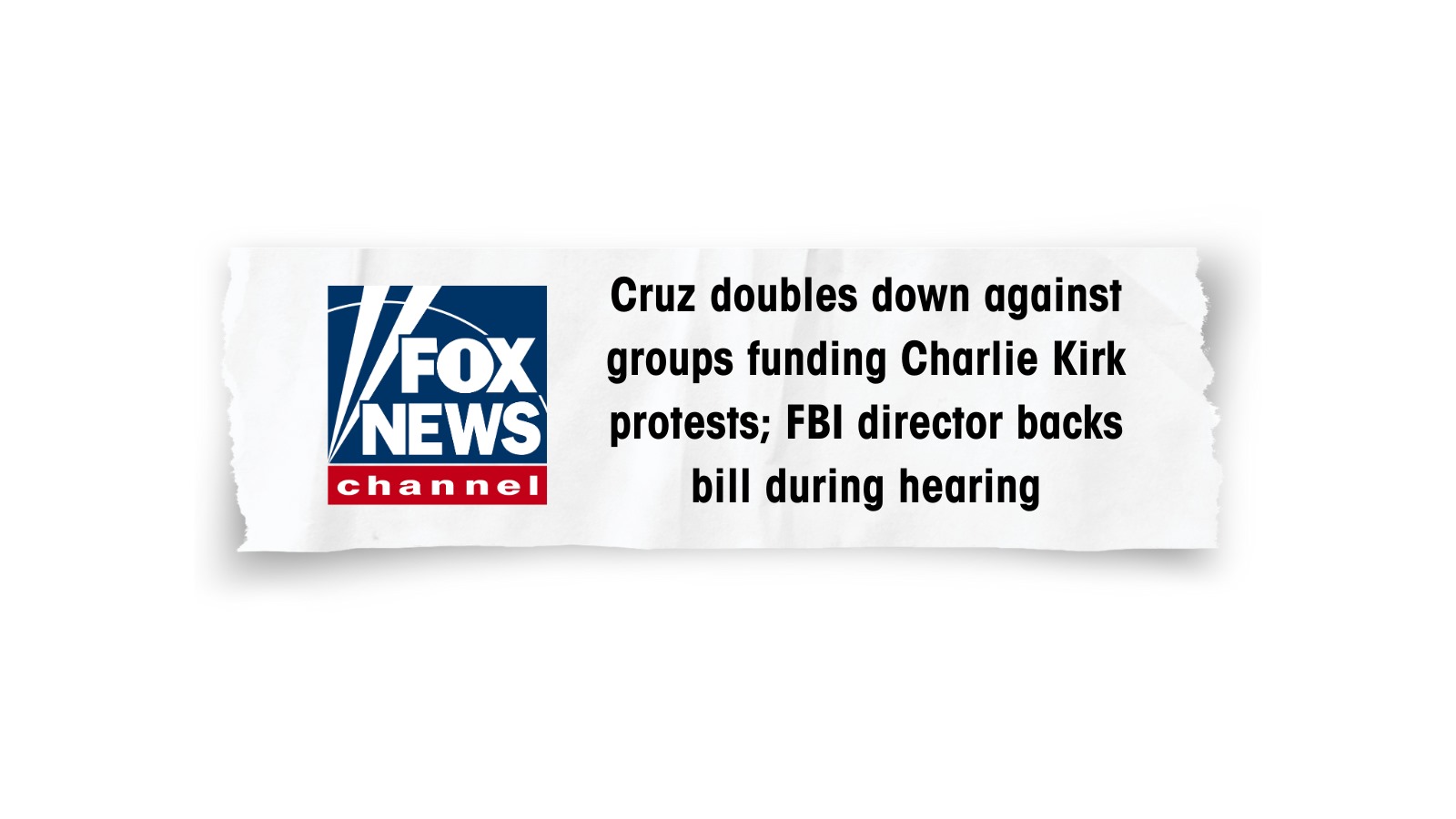 Fox ICYMI