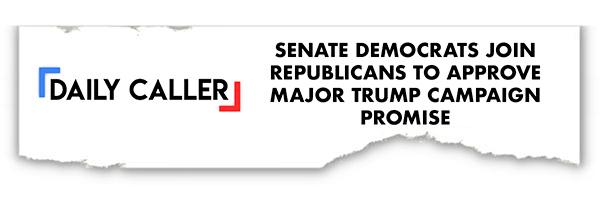 daily caller